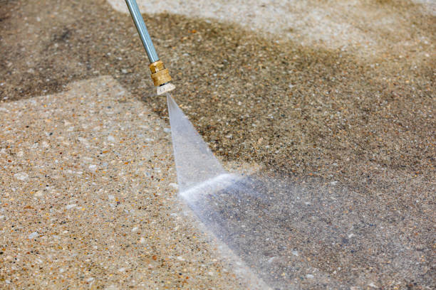 Best Gutter Cleaning  in Home Gardens, CA